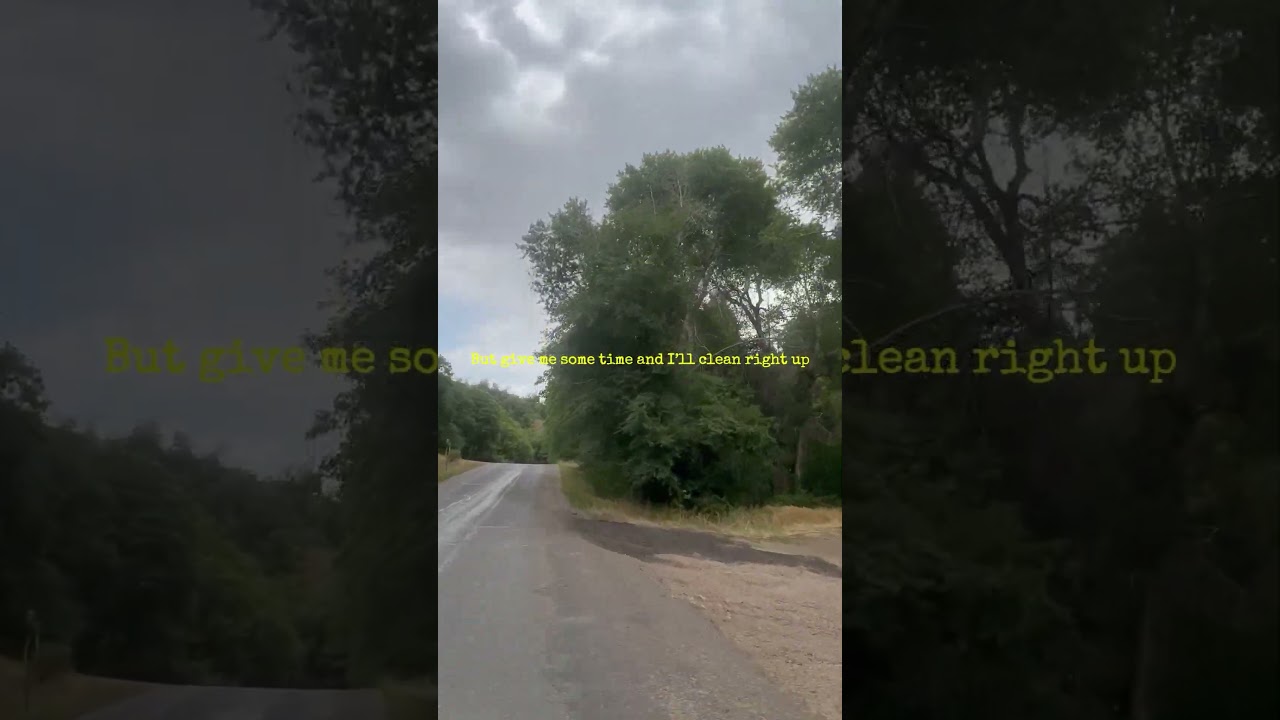 Mastering Silence - Dreaming Without Believing (Lyric Video)