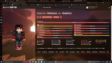 Hypixel Skyblock AH FLIPPER MOD  500m+/hr CasFlipper