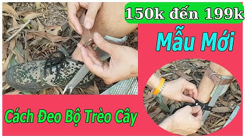 Dụng cụ trèo cây / Móng leo cây an toàn giá rẻ / Guốc trèo cây 2 đinh / combo chỉ còn 150k