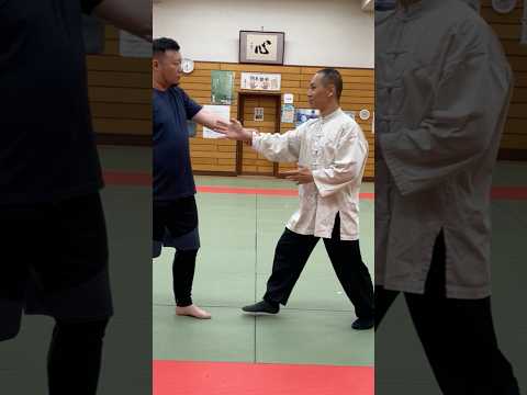 発勁の双輪