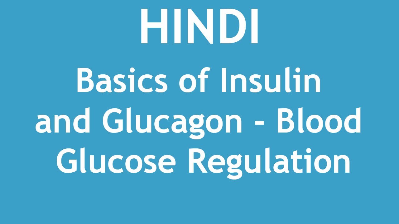 Basics Of Insulin And Glucagon Blood Glucose Regulation HINDI Dr basics-of-insulin-and-glucagon-blood-glucose-regulation-hindi-dr