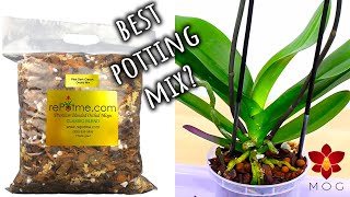 What Orchid Potting Mix is best for you? - Easy guide for beginners! | Orchid Care for Beginners