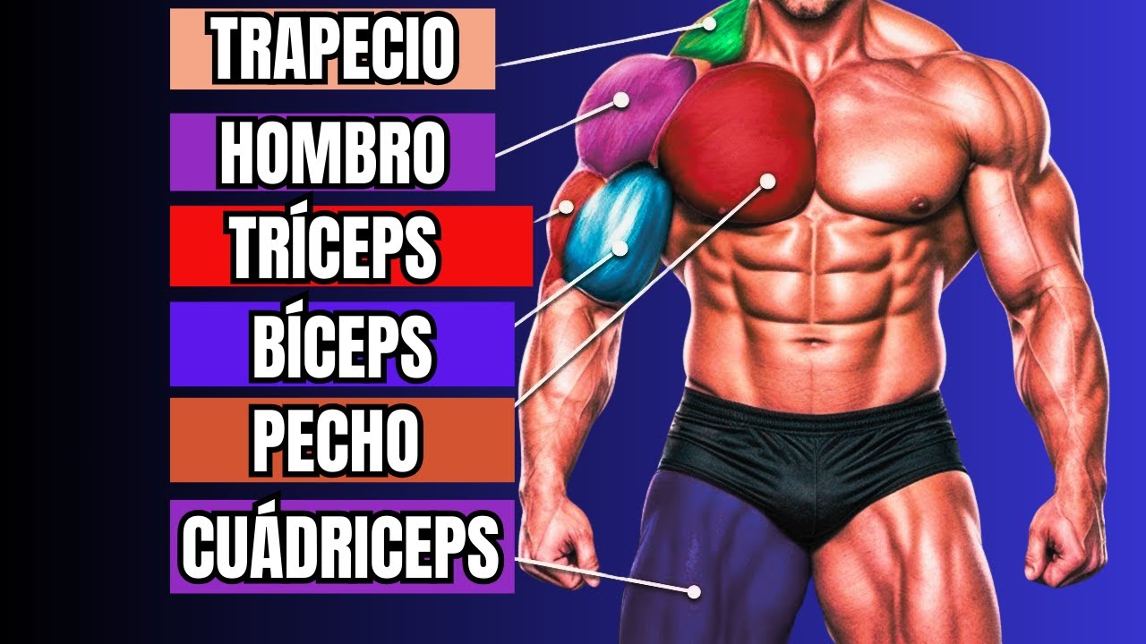 meilleurs exercices - Guide vidéo