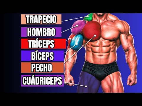 Vidéo YouTube