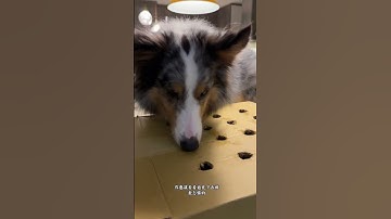 悔灰挑戰打地鼠遊戲。