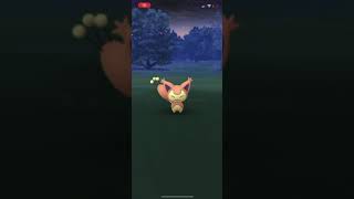 SHINY SKITTY ✨ RARE POKÉMON