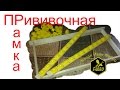 Прививочная рамка Вывод пчелиных маток Матководство