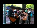 Mariachi ayayay cielito lindo