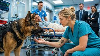 K9 Blocked Every Doctor—Until a Quiet Nurse's Tattoo Revealed Her Hidden Military Past News