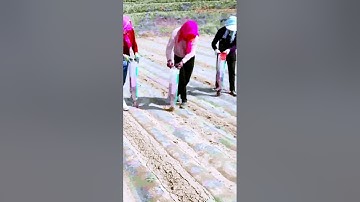 Fertilization process sharing   good tools can do more with less