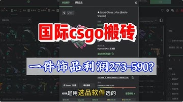 steam礼品卡   国际CSGO搬砖一件饰品 利润273-590？