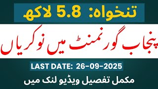 Consultant PESRP PMIU Jobs 2025 #jobs #Projectjobs #consultant  screenshot 5