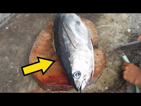 Video: Cara Memotong Ikan