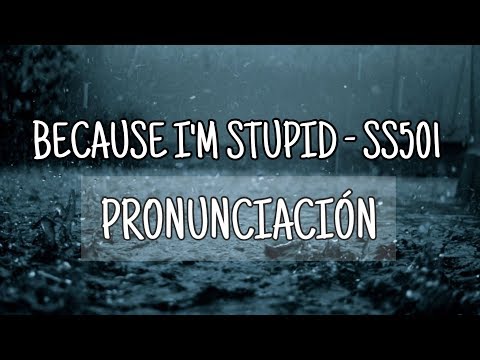 Because I’m Stupid - SS501 [Pronunciación] [Fácil]