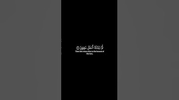 سورة التين [1-6] | محمود خليل الحصري