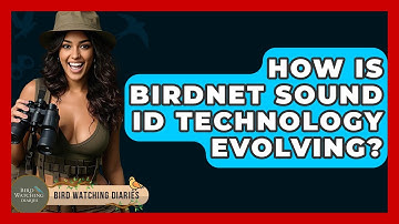 How Is BirdNET Sound ID Technology Evolving? - Bird Watching Diaries