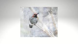 hummingbird prototype2
