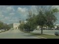 Emerald Ash Borer Damage Emerald Ash Borer Damage