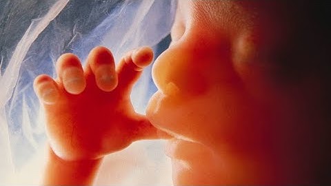 Hallgattassék meg a szív hangja! – Orbán Viktor kiszámított kereszténysége és az abortuszszigorítás