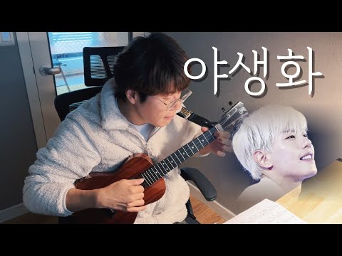 야생화 - 박효신