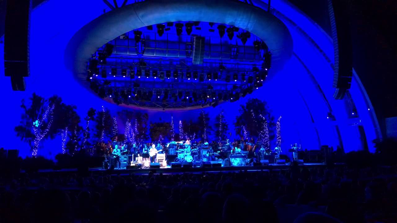 Walter Becker from Steely Dan "Cuervo Gold" Monologue Hollywood Bowl