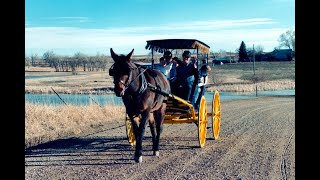 LTR Training Tip #119: Pleasure Driving