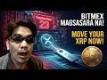 BitMEX Magsasara na - Ano ang Kailangan mong Gawin sa iyong XRP?