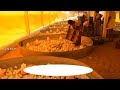 How to Start Poultry Farm /Complete Method of Broiler Chicks Beginning Process