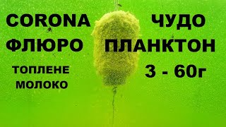 видео: ЧУДО ПЛАНКТОН / ОХОТА НА РИБАЛКУ / ПЛАНКТОН / ТЕХНОПЛАНКТОН / РИБАЛКА НА ТОВСТОЛОБА / Fluro ПЛАНКТОН картинка: ЧУДО ПЛАНКТОН / ОХОТА НА РИБАЛКУ / ПЛАНКТОН / ТЕХНОПЛАНКТОН / РИБАЛКА НА ТОВСТОЛОБА / Fluro ПЛАНКТОН