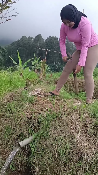 BIAR AIRNYA LANCAR ! KOMEDI JANDA IDAMAN #gemoy #sawah #bodorsundaterbaru