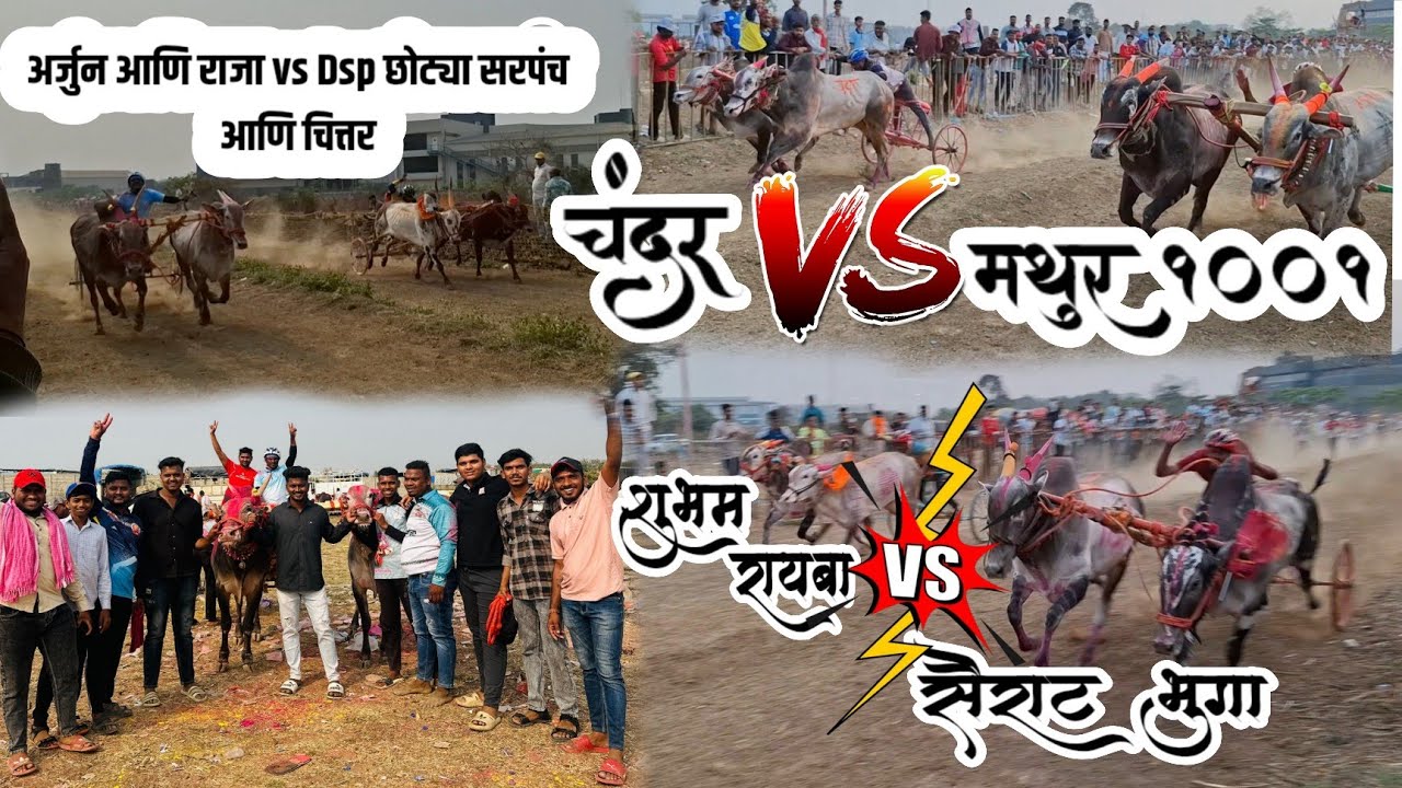 उसाटणे मैदानात मथूर 1001 ने मारली बिनजोड शर्यत |भुंगा सैराट vs रायबा #viralvideo #agrikoli #bailgada
