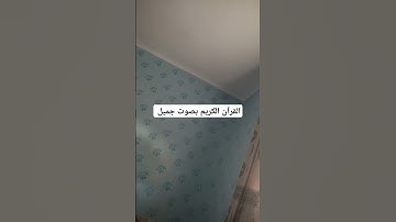 القرآن الكريم بصوت جميل #قرآن #اكسبلور #تيك_توك #اكسبلورر #صباح_الخير #اكسبلورفولو #فولو