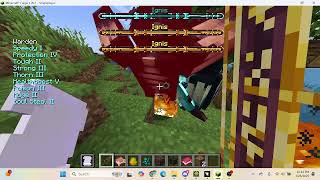ignis vs enchanted warden and wither