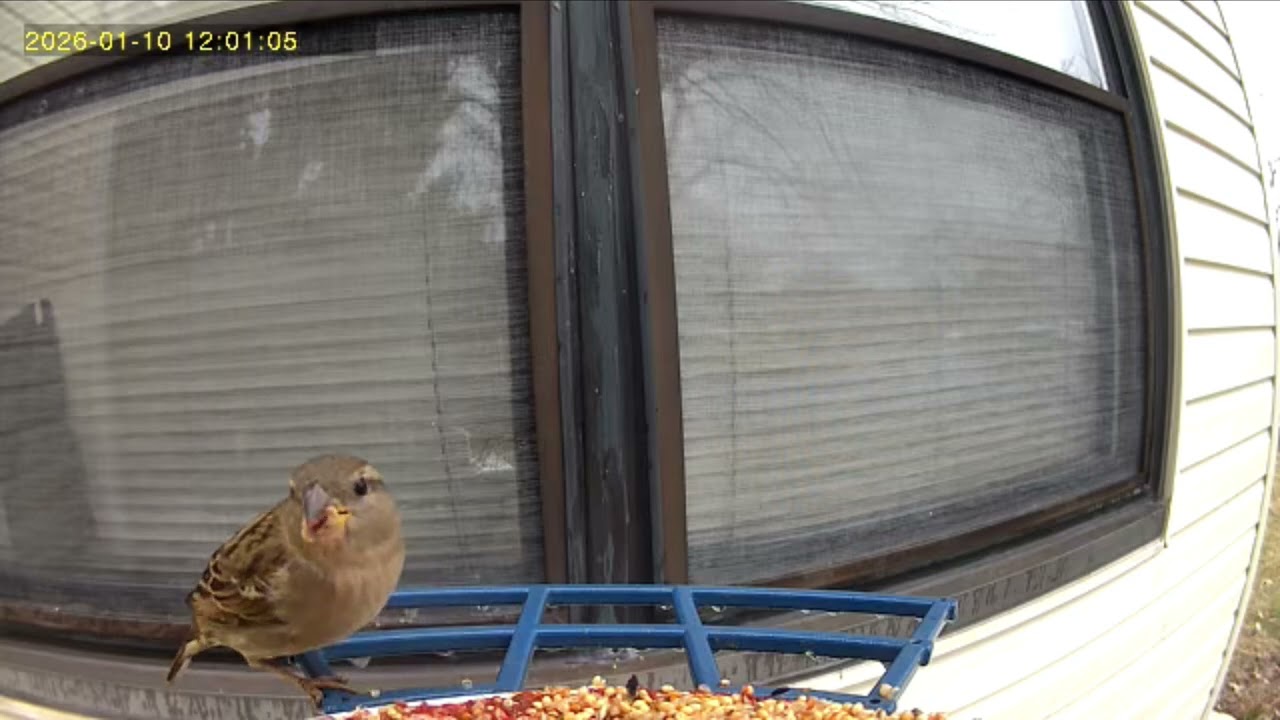 January 9th and 10th 2026