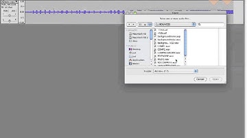 Introduction to the Digital Audio Workstation (DAW)