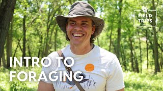 Intro to Foraging