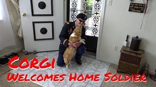 Corgi Reunited with Soldier