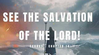 Exodus - Chapter 14 - The Red Sea Crossing