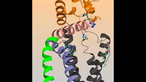 TRPV1: Lipid ejection from the vanilloid binding pocket