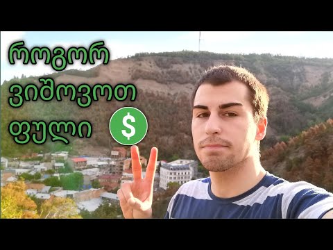 როგორ ვიშოვოთ ფული ?  ( Mini Vlog )