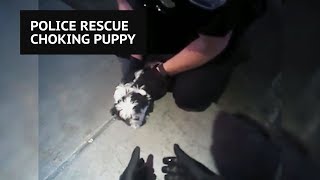 Heroic police officers rescue puppy choking on cheese