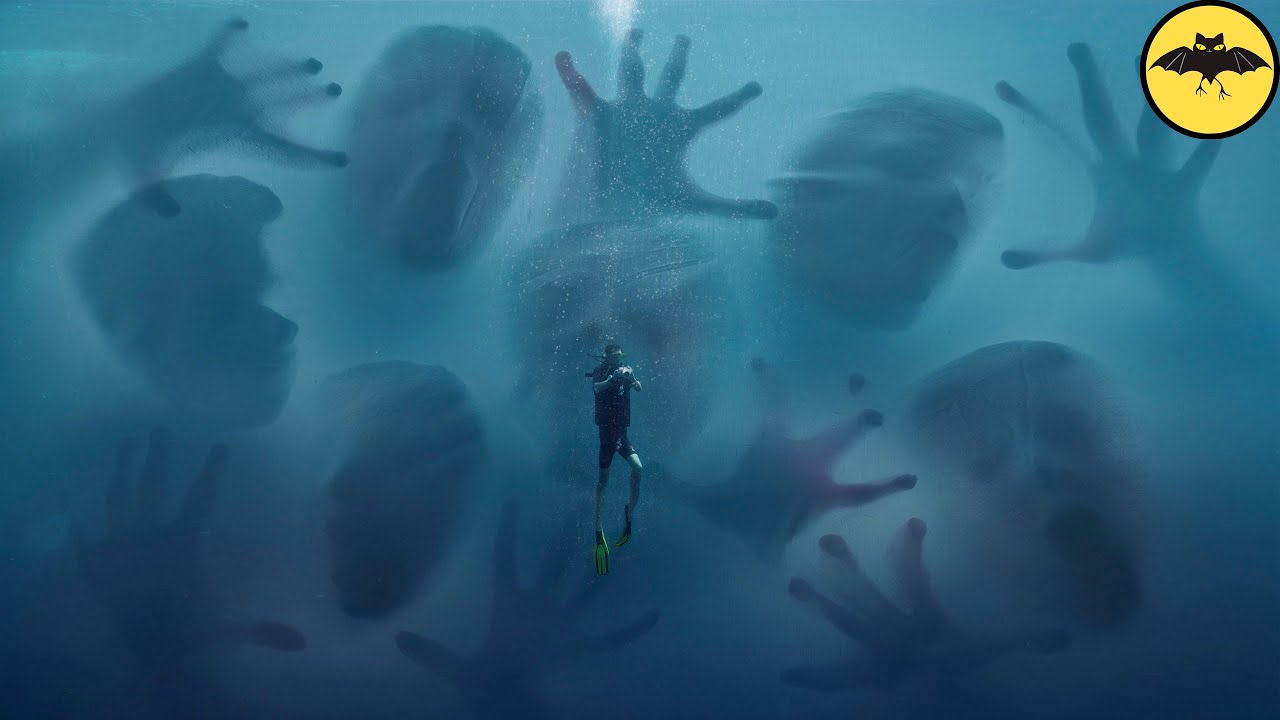 deep sea creatures reddit Divers Killed by Mysterious Beings in the Deep.