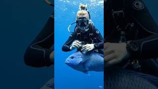 Fish Cam Viral Video 😱 | Pani Ke Andar Ka Asli Scene