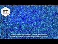 GRADE 7 SCIENCE: Elements and Compounds