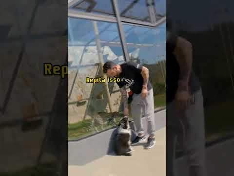 Este é o