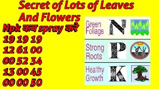 DIFFERENT RATIOS OF N P K WHEN TO USE ON PLANTS N P K के RATIO को समझिए और SPRAY करे