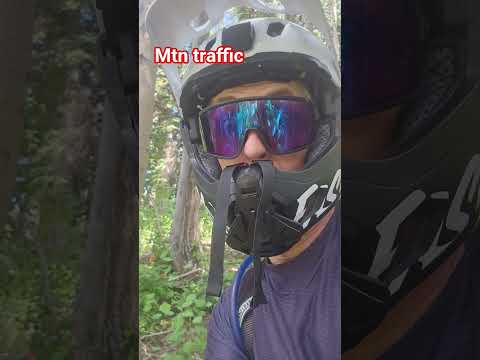 Ran Into This Guy Yesterday Moose Fitchef Mtb Utahisbeautiful Getoutside Parkcity Cheflife