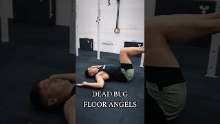 DEAD BUG FLOOR ANGELS | IMPACT PERFORMANCE Details