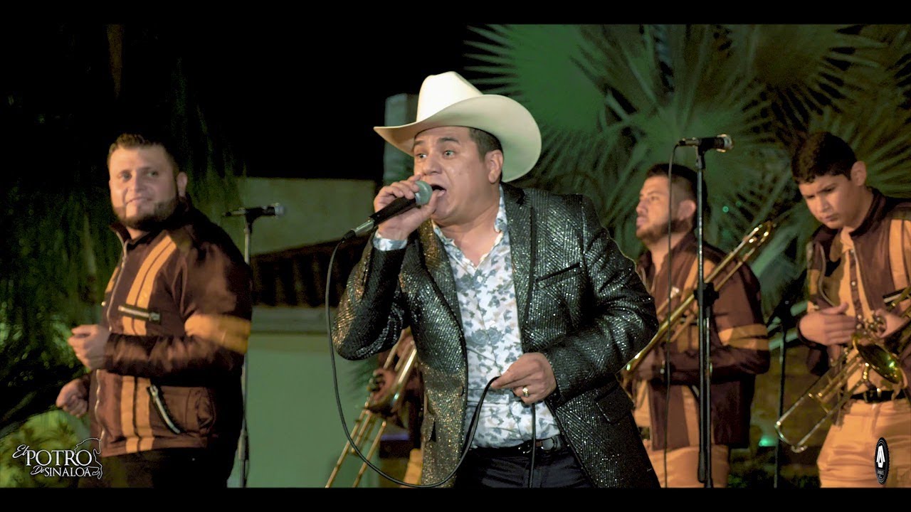 El Potro De Sinaloa El Compa Gara (Corrido Inedito En Vivo) YouTube