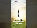 சவாலை எதிர்கொள்ள ரெடியா #5 #motivation#whatsappstatus #whatsapp #reals #shorts #shortvideo #trending